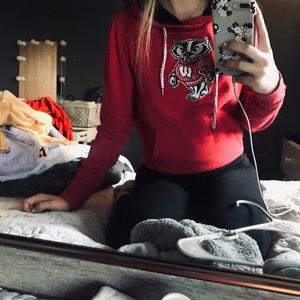 Wisconsin badgers hoodie